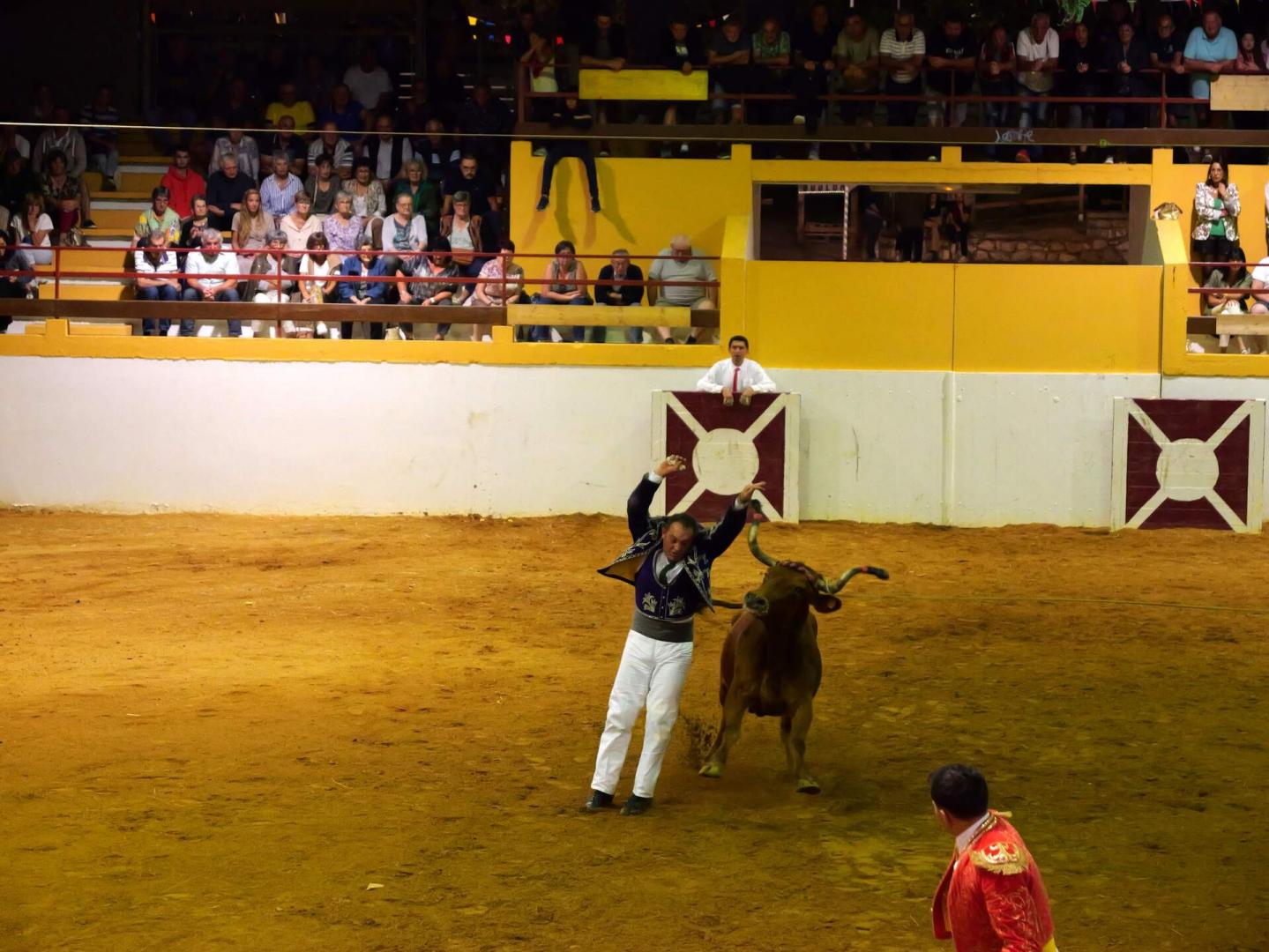 20-P1002690.jpg